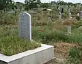 گورستان افراسیاب