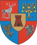 نشان Satu Mare