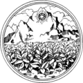 نشان رسمی پتچابون