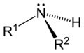 آمین نوع دو