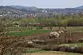 Village Suseoka  - panorama