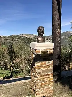 نیم‌تنه سوان نشانیان