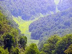 تصویر جنگل در نزدیکی منطقه نمک آبرود در ایران