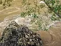 رودخانه ای در نمک آبرود استان مازندران