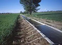 آبیاری محصولات زراعی