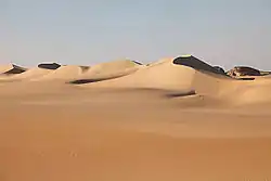 تلماسههای دریای ماسهای بزرگ در نزدیکی واحه سیوا، مصر