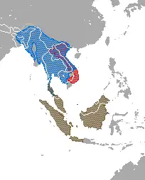 Range map showing ranges of the three species of slow loris: the Sunda Loris (N. coucang) in Thailand, Malaysia, and Indonesia; the Bengal slow loris (N. bengalensis) in east India, China, Bangladesh, Bhutan, Burma, Thailand, Laos, Vietnam, and Cambodia; and the pygmy slow loris (N. pygmaeus) in Vietnam and Laos.