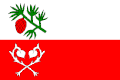 پرچم سوسنووا (ناحیه تشسکا لیپا)
