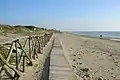 Una passerella di legno sulla spiaggia costeggia le dune