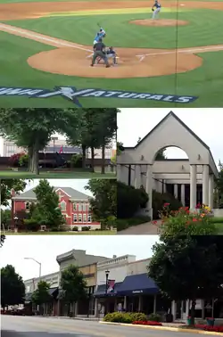 برخلاف عقربه ساعت از بالا: The Northwest Arkansas Naturals playing در Arvest Ballpark, Shiloh Museum of Ozark History, خیابان اما, Old Springdale High School, مراکز جهانی تایسون فودز