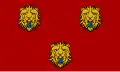 پرچم Staden
