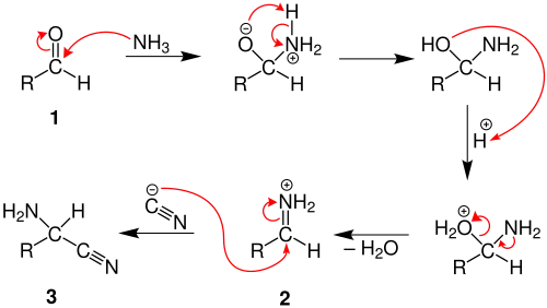 مکانیسم سنتز استرکر، بخش ۱.