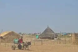 View of Abyei town,with traditional dwellings (2009).