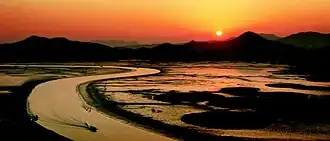 Photograph of Suncheon bay and reed fields in October, 2008.