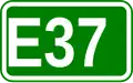 E37 shield