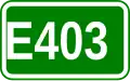 E403 shield
