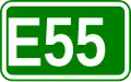 E55 shield