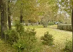 نمایی از محوطه دانشگاه تبریز در فصل تابستان