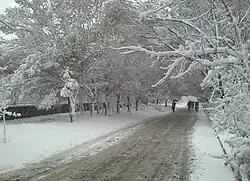 نمایی از محوطه دانشگاه تبریز در فصل زمستان