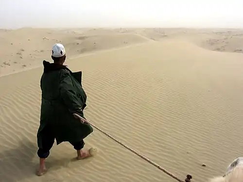زندگی در بیابان نزدیک شهرستان یارکند