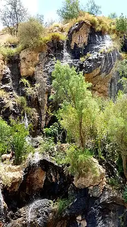 پارک کوهستانی طالقانی