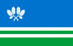 پرچم Tapa Parish