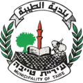نشان‌واره رسمی الطیبه (اسرائیل)