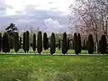 پارک لاله
