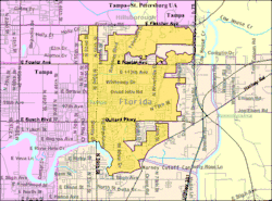 U.S. Census map of Temple Terrace, Florida