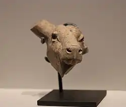 سر گاو