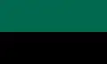 Green and black flag of texel
