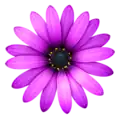 TextMate icon