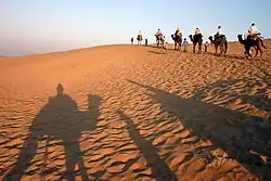شترسواری در بیابان تار در نزدیکی جایسالمر، هند