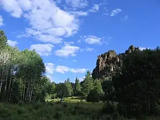 جنگل ملی دیکسی