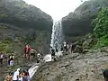 لبه ببر در فصل باران
