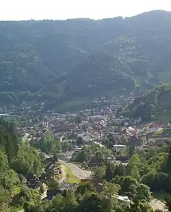 Panoramic view