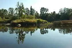 Iisaar "sacred grove" island