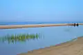 دماغه کولکا