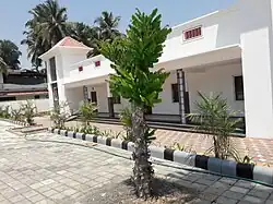 درخت بیلیمبی پس از تراکاشت