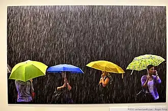 باران حاره‌ای در هنگ کنگ