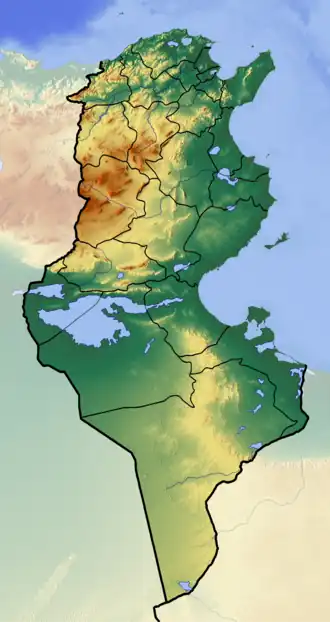 مدینه تونس در تونس (شهر) واقع شده