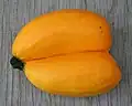 کدو سبز «دوقلو»