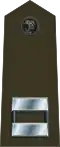 U.S. Marine Corps (dress, garrison)