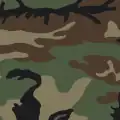 الگوی استتار جنگلی ایالات متحده