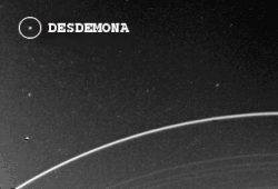 Desdemona