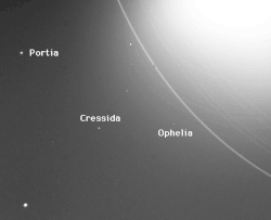 Cressida