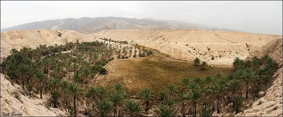 نخلستان وردوان ۲۷°۴۵′۲۷٫۱″ شمالی ۵۲°۵۳′۹٫۱″ شرقی﻿ / ﻿۲۷٫۷۵۷۵۲۸°شمالی ۵۲٫۸۸۵۸۶۱°شرقی﻿ / 27.757528; 52.885861﻿ (نخلستان وردوان)