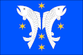 پرچم Velký Rybník