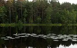 Suur-Kalajärv lake