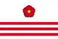 پرچم ویترنی